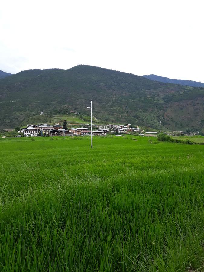 Chimi Lhakhang Village Homestay Punakha Exterior photo